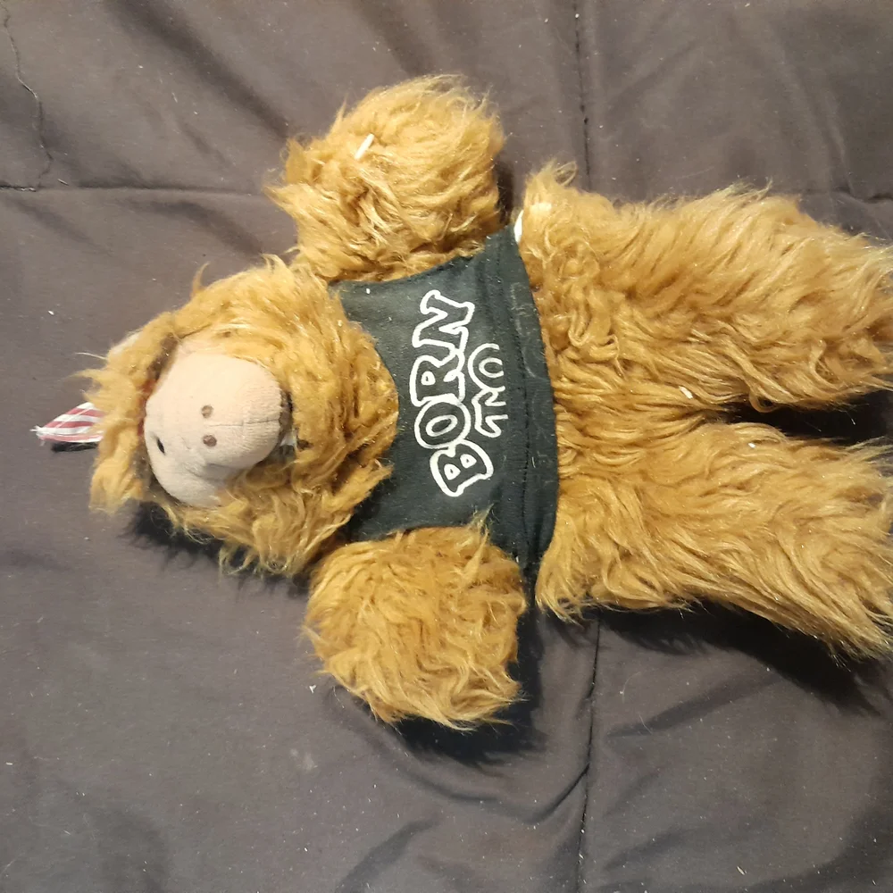 Vintage ALF Plush And Puppet Collection - Picture 12 of 16